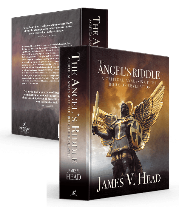 The Angel's Riddle Book Cover