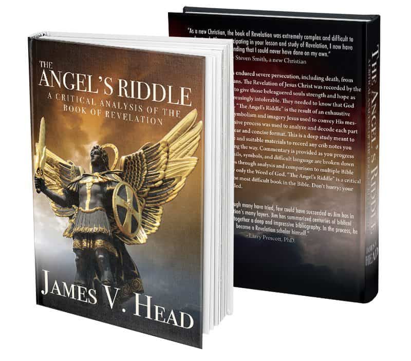 The Angel's Riddle Paperback